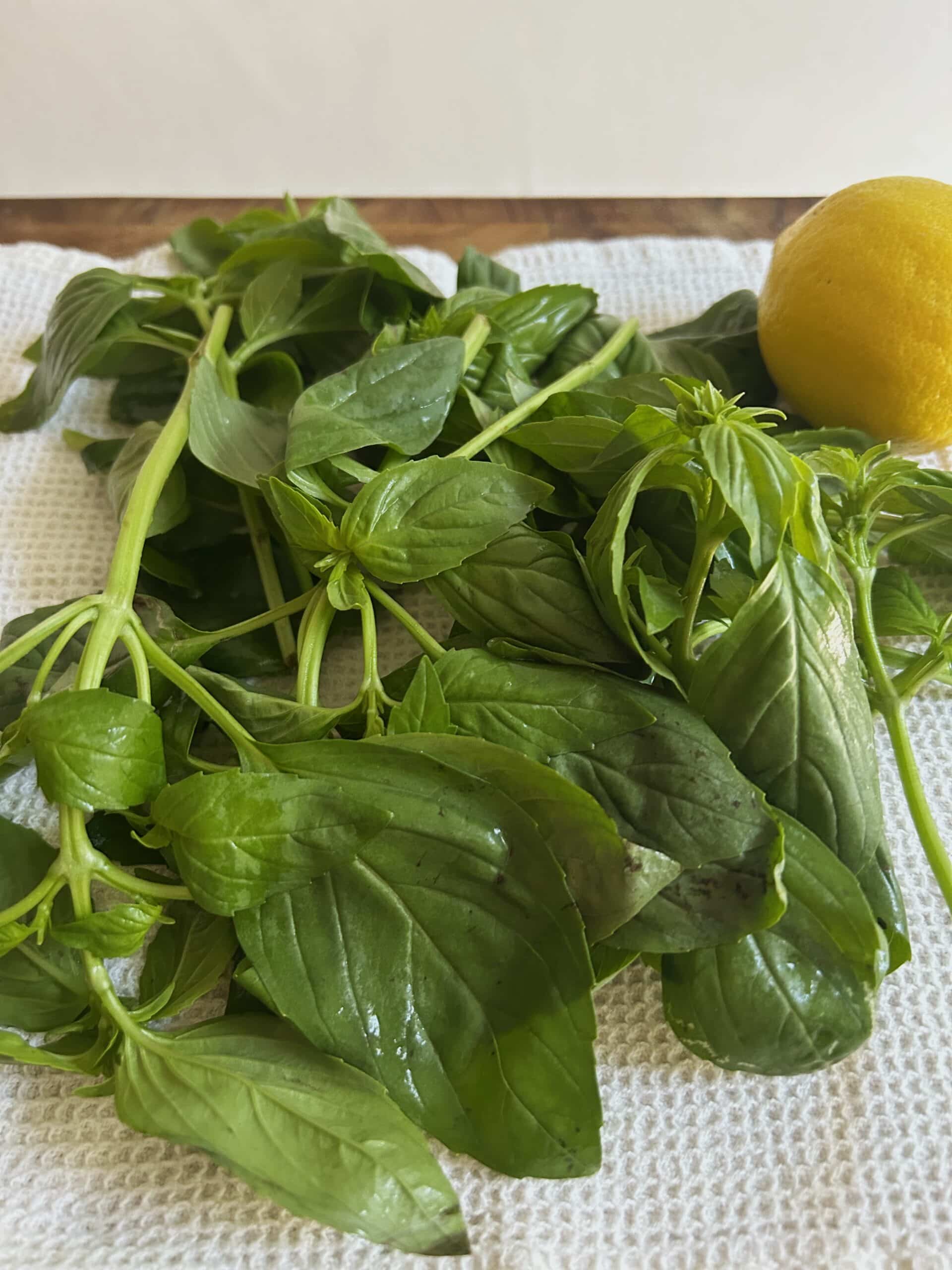 Fresh Basil and Lemon